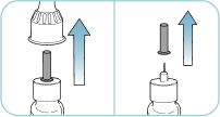 Removing the outer and inner needle shield from the pen.