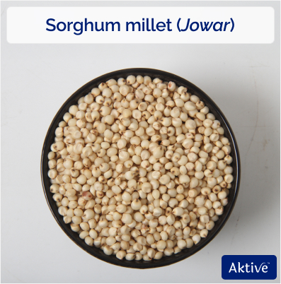 Sorghum Millet or Jowar