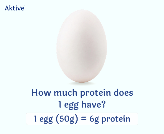 One single plain white egg