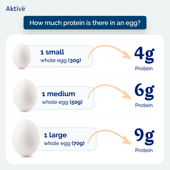 protein is in one egg